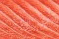 Salmon fish meat texture Royalty Free Stock Photo