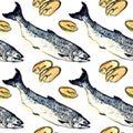 Salmon fish and pieces illustration Royalty Free Stock Photo