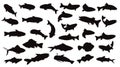 Salmon fish silhouettes vector