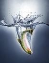 Salmon fish splashing into water forming a crown splash. Royalty Free Stock Photo