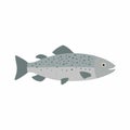 Salmon fish. Vector illustration isolated on white background. Royalty Free Stock Photo
