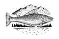 Salmon fish in wild nature. Vector engraving style drawing. Royalty Free Stock Photo