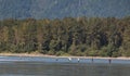 Salmon fishing in Chilliwack Canada