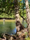 Salmon Fishing homestead dam