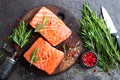 Salmon. Fresh salmon fish. Raw salmon fish fillet Royalty Free Stock Photo