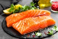 Salmon. Fresh salmon fish. Raw salmon fish fillet Royalty Free Stock Photo