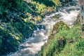 Salmon hatchery creek in mountains of alaska Royalty Free Stock Photo