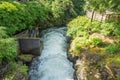 Salmon hatchery creek in mountains of alaska Royalty Free Stock Photo