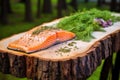 salmon with herbs on cedar plank from side angle