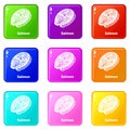 Salmon icons set 9 color collection