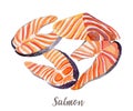 Salmon illustration. Hand drawn watercolor on white background.