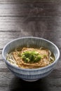 Salmon, Japanese noodle dish Royalty Free Stock Photo