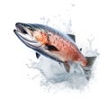 Salmon jumping out of a river isolated on white created with Generative AI Royalty Free Stock Photo