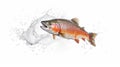 A salmon jumping out of the water isolated on white background. Salmon fish. Generative Ai Royalty Free Stock Photo