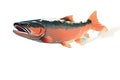 Salmon jumping out of water Royalty Free Stock Photo