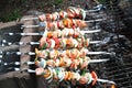 Salmon kebabs