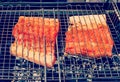 Salmon kebabs steak grilling outside, retro photo style