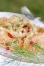 Salmon marinated with dill Royalty Free Stock Photo