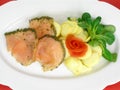 Salmon marinated with dill Royalty Free Stock Photo