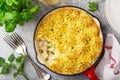 Salmon, mashed potatoes and vegetables casserole in enamel cast iron pan