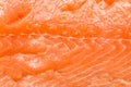 Salmon Meat Texture Royalty Free Stock Photo