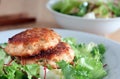 Salmon patties Royalty Free Stock Photo