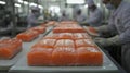 Salmon processing plant with workers handling fresh cuts of fish Royalty Free Stock Photo