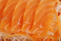 Salmon raw sashimi