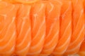 Salmon raw sashimi