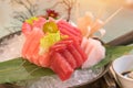 Salmon raw sashimi sushi with shrimp on plate, japanese food Royalty Free Stock Photo