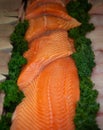 Salmon Ready for Grilling Royalty Free Stock Photo