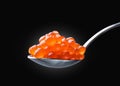 Salmon Red Caviar on a spoon. Fish caviar. Raw seafood. Luxury delicacy food.