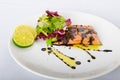 Salmon with a reduction of balsamic vinegar and sugar Royalty Free Stock Photo