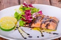 Salmon with a reduction of balsamic vinegar and sugar Royalty Free Stock Photo