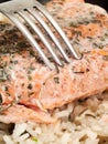 Salmon with rice Royalty Free Stock Photo