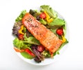 Salmon salad Royalty Free Stock Photo