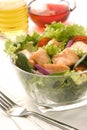 Salmon salad Royalty Free Stock Photo