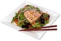 Salmon Salad Grilled on White Plate with Isolated Backgroun