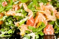 Salmon salad with ruccola Royalty Free Stock Photo