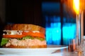 Salmon Salad Sandwich Royalty Free Stock Photo