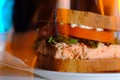 Salmon Salad Sandwich Royalty Free Stock Photo