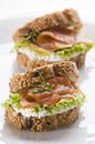 Salmon sandwich