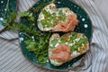 Salmon sandwiches with cream cheese, arugula, mustard, spices on the plate. Royalty Free Stock Photo