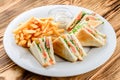 salmon sandwiches and french fries on a white plate Royalty Free Stock Photo