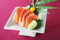 Salmon sashimi set on a plate Royalty Free Stock Photo