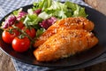 Salmon with sesame seeds in Asian style and fresh salad close-up. horizontal Royalty Free Stock Photo