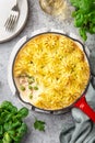 Salmon shepherd`s pie. Fish in creamy sauce , mashed potatoes and vegetables casserole in enamel cast iron pan