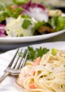 Salmon and Shrimp Fettuccine Royalty Free Stock Photo