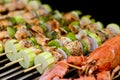Salmon Skewers and Lobster Royalty Free Stock Photo