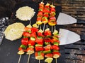 Salmon skewers with vegetables and fish burger Royalty Free Stock Photo